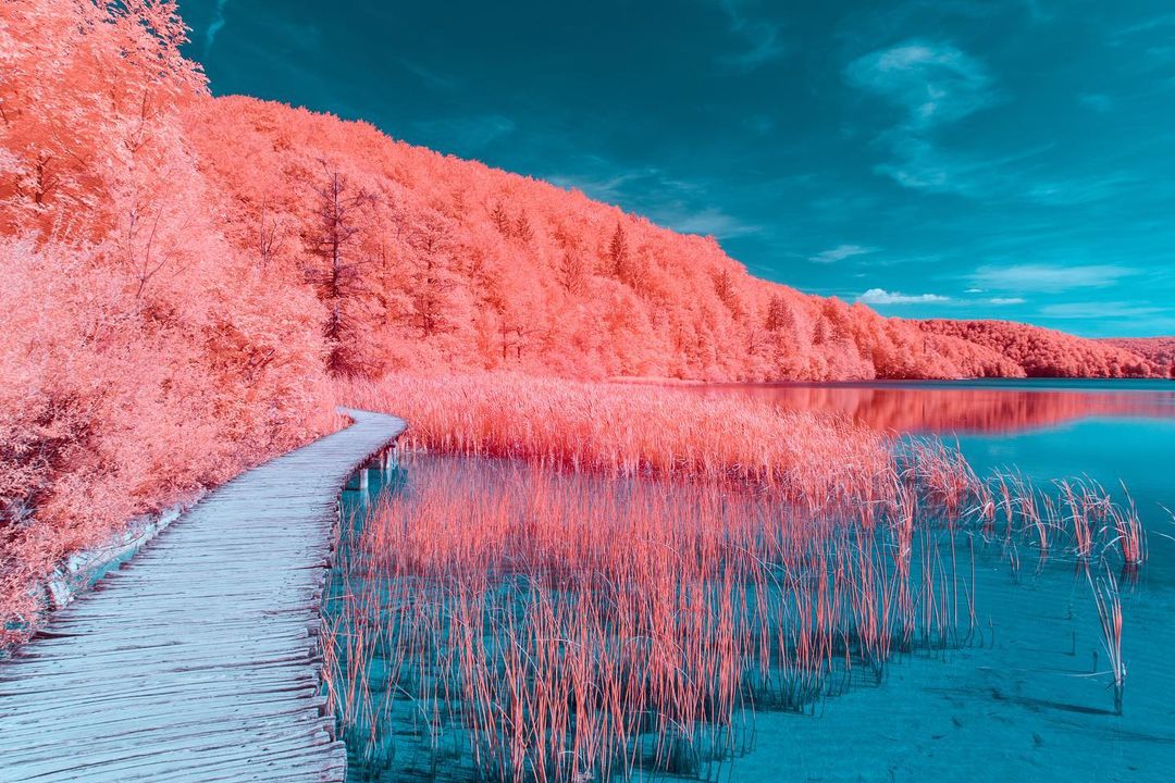 Серия сюрреалистических пейзажей, снятых в инфракрасном свете Паоло Петтиджани
