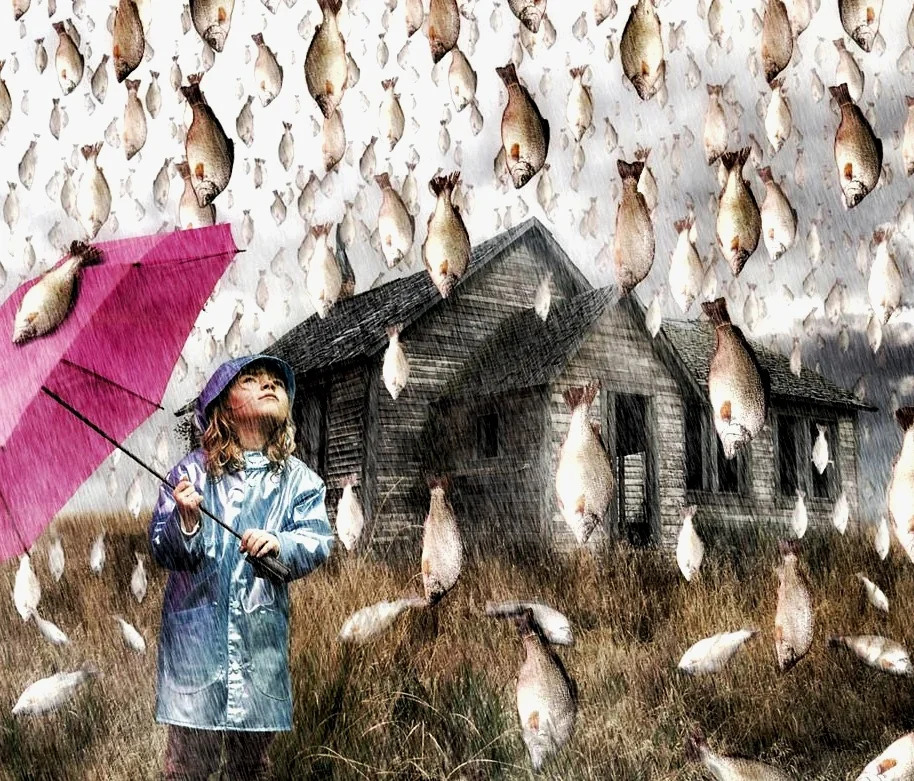 Дождь из рыбы в Австралии