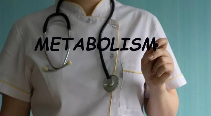 Что такое метаболизм?