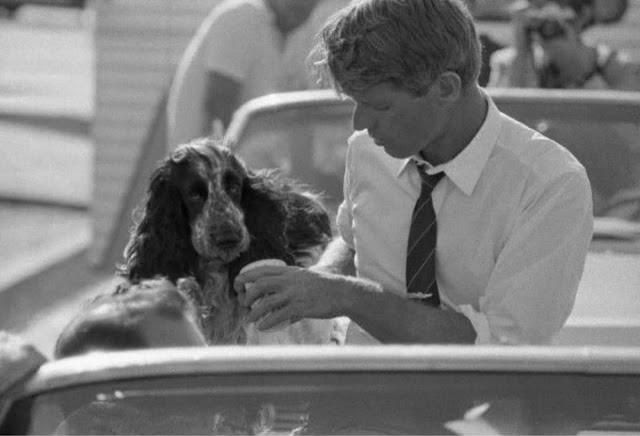Фотографии кандидата в президенты Бобби Кеннеди и его любимой собаки Веснушки, 1968 год