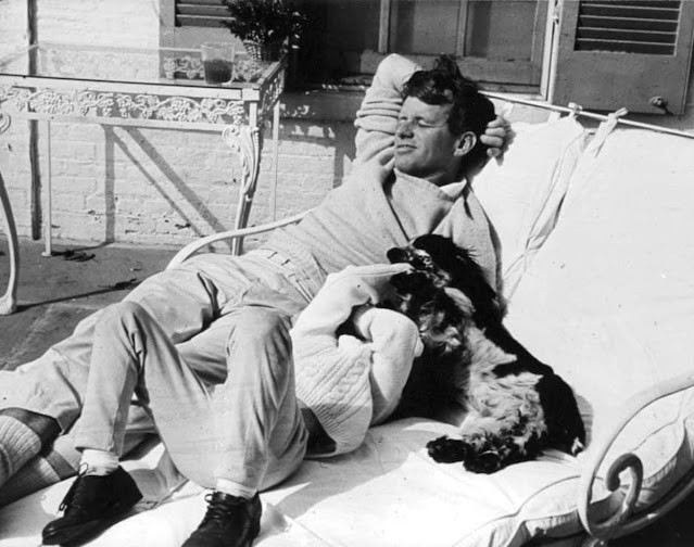 Фотографии кандидата в президенты Бобби Кеннеди и его любимой собаки Веснушки, 1968 год