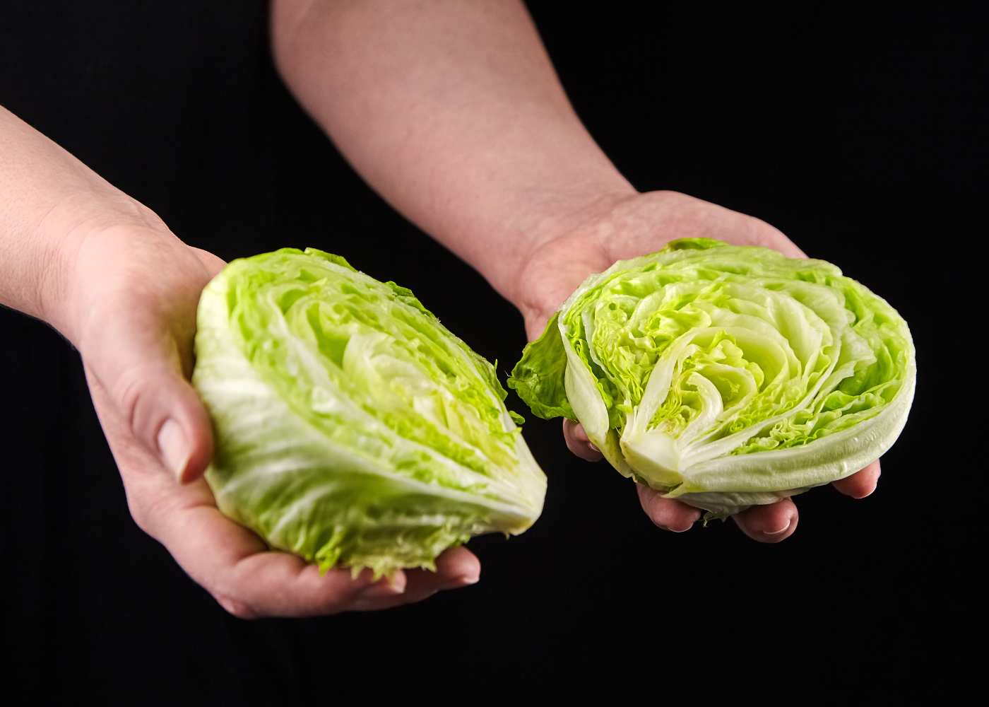 Как хранить зеленый салат