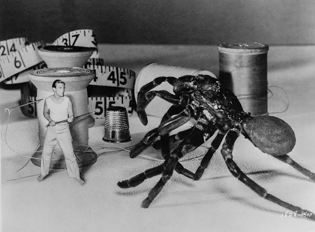 Фотографии за кулисами создания классического научно-фантастического фильма «Невероятный уменьшающийся человек» (1957)